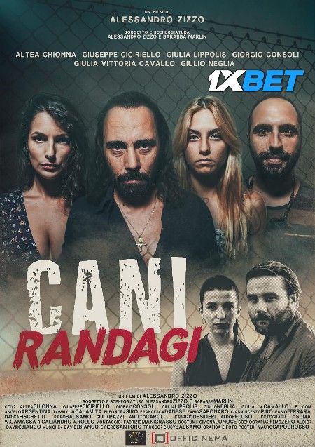 Cani randagi (2023) HQ Hindi Dubbed Movie