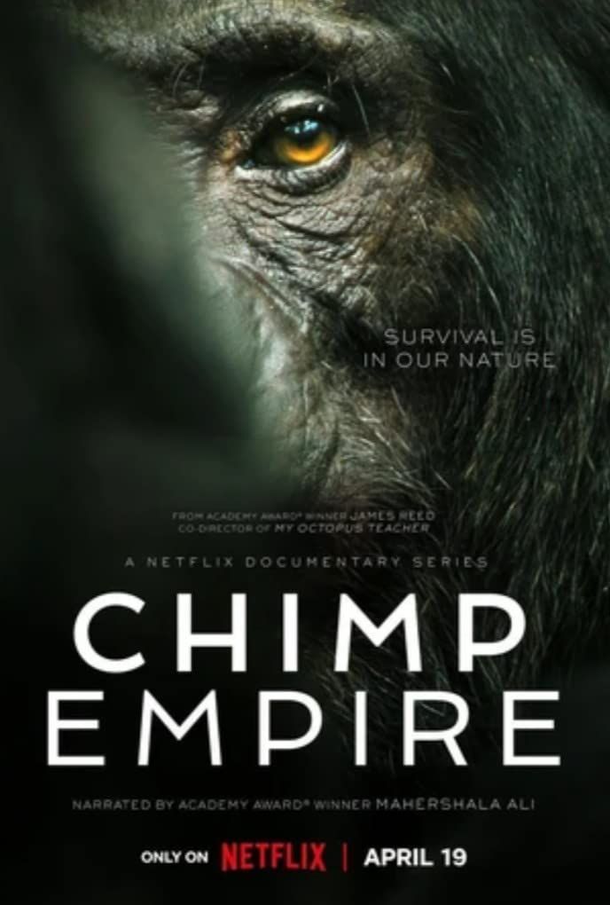 Chimp Empire ( Season 1 ) 2023 Hindi Dubbed