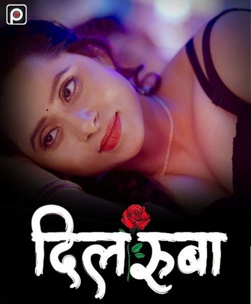 Dilruba (2023) Season 1 (Episode 1-3) Primeflix Hindi Web Series