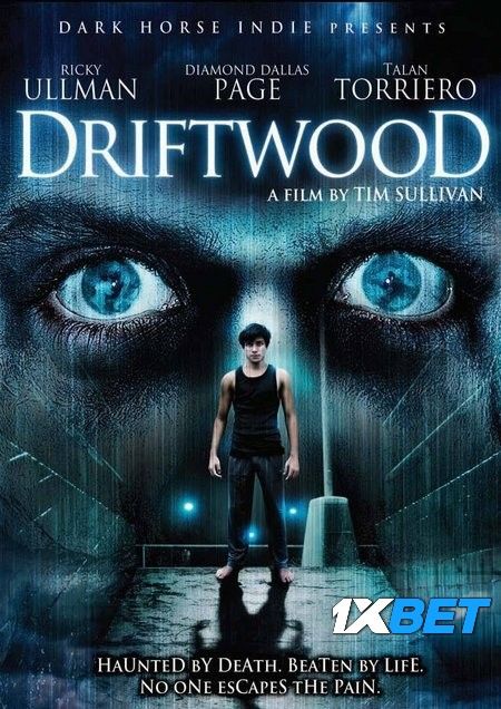 Driftwood 2023 Telugu Dubbed HQ Movie Full Movie