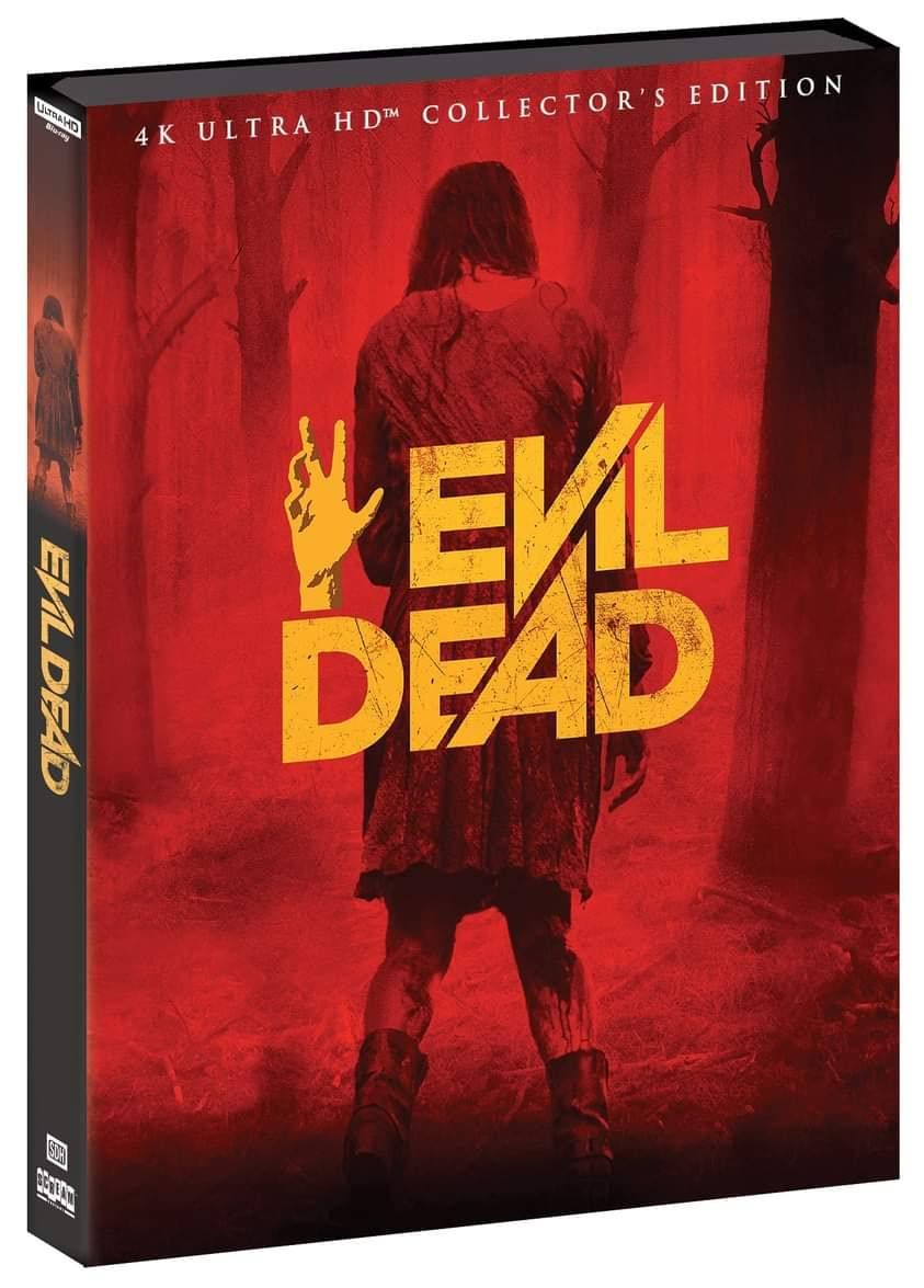 Evil Dead (2013) Hindi Dubbed