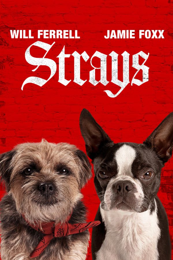 Strays (2023) Hollywood Movie