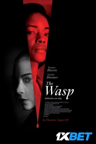 The Wasp 2024 Hindi HQ Dubbed Movie