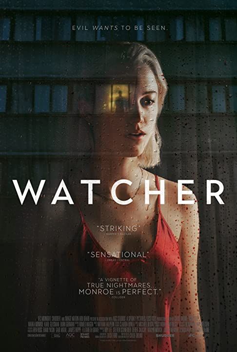 Watcher (2022) Hindi Dubbed