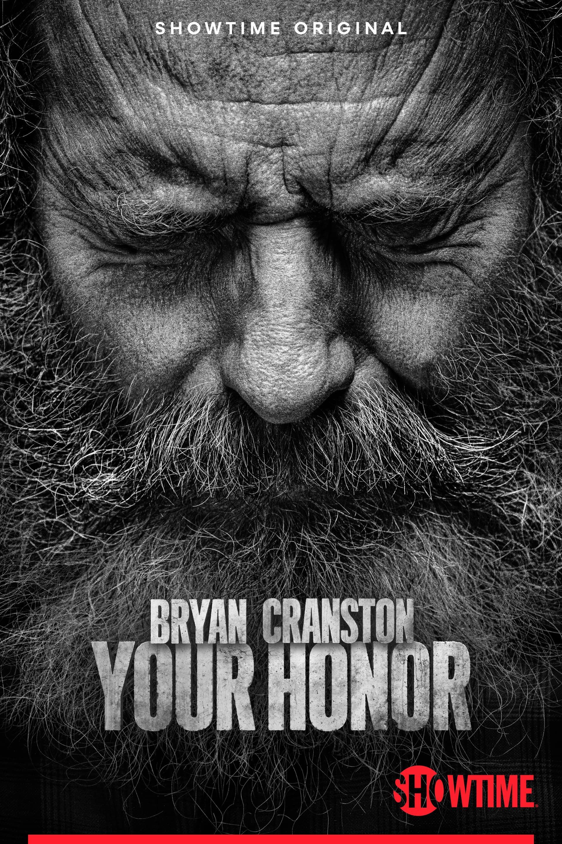 Your Honor (Season 2) 2023 Hindi Dubbed