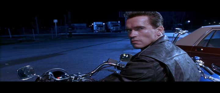 Terminator 2 Judgment Day (1991) Hindi Dubbed NF