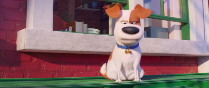 The Secret Life of Pets 2 (2019) Hindi Dubbed