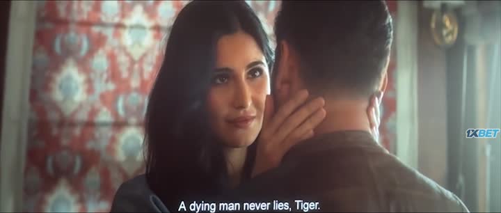 Tiger 3 (2023) V2 Hindi Movie